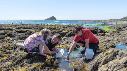 Two adults and a child rockpooling at Wembury